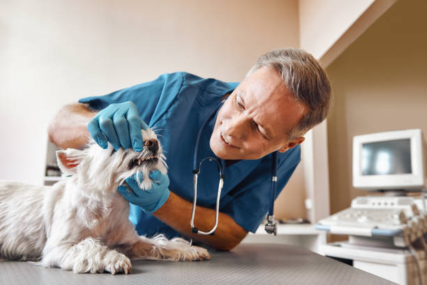 Best Emergency Tooth Extraction  in Deland, FL